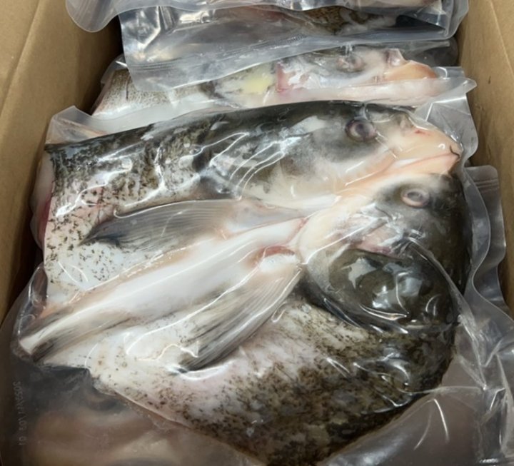 花鲢大鱼头 1100-1300克